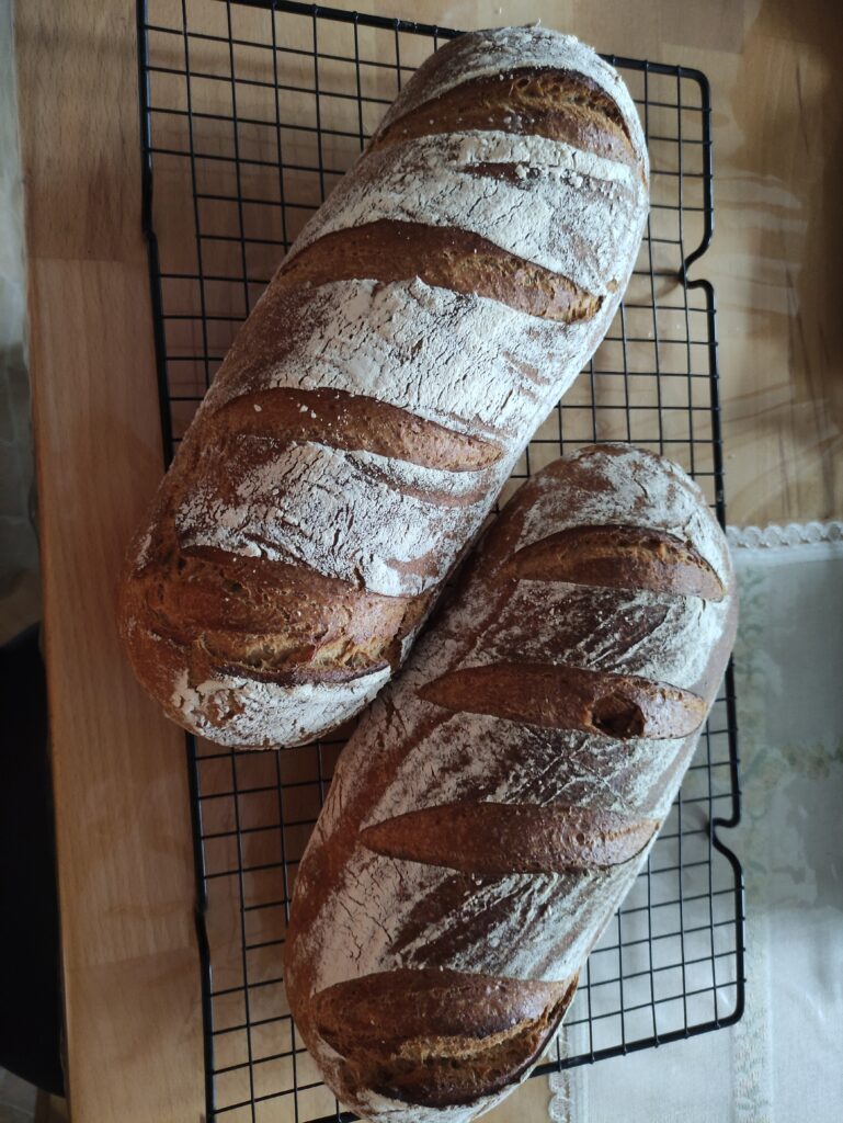 Anstellgut Reste Brot / Sauerteigreste Brot