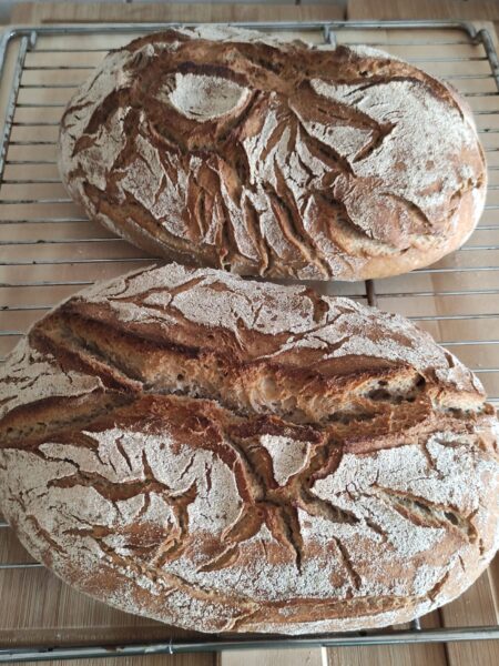 einfach bestes Sauerteigbrot