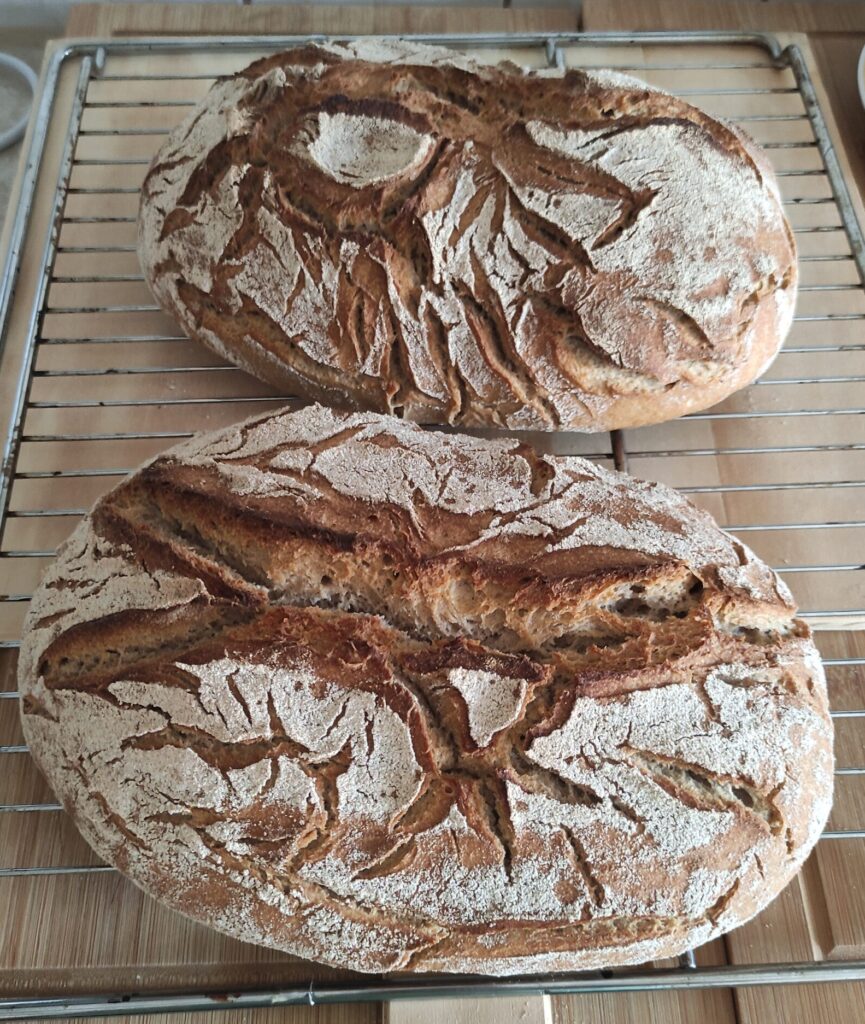 einfach bestes Sauerteigbrot